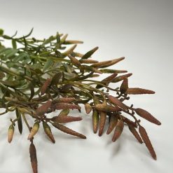 ענף פלפל בורדו MMS