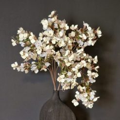 ענף הורטנזיה לבן MMS