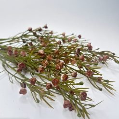 ענף פעמונים בורדו  MMS