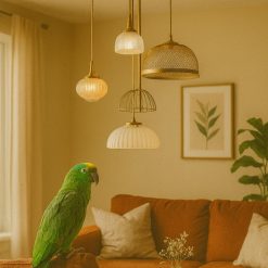 צלחת נחושת חמישייה קרייזי AMR