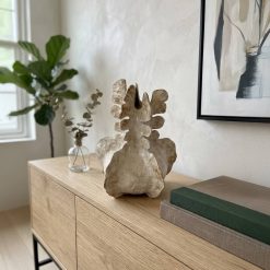 סיישל | אגרטל אצות MMS