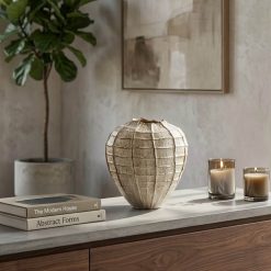 סיישל אגרטל צדף MMS