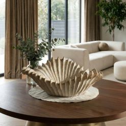 סיישל | קערת צדפה MMS