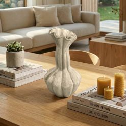 סיישל אגרטל ריף MMS