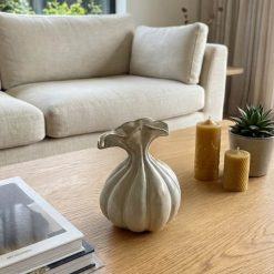 סיישל | אגרטל ריף קטן MMS